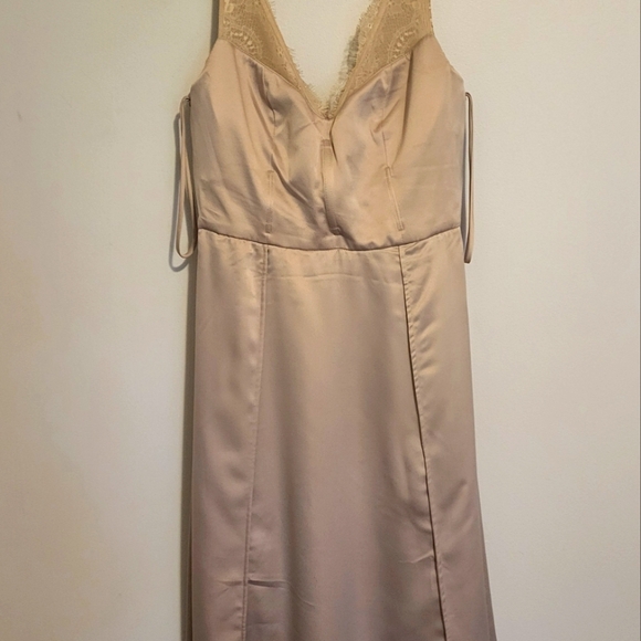 Anthropologie x BHLDN Hitherto Sleeveless Lace FLEUR Midi Dress Sandstone Sz 4 - Picture 4 of 13